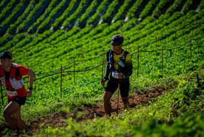 BIB: 7584
                            <button type="button" onclick="openModal(19161111)" class="btn btn-primary btn-sm float-right btn-popup" data-toggle="modal" data-target=".modal-high-quality">
                        <i class="fas fa-shopping-cart"></i> Add to Cart
                    </button>
                                            <button type="button" onclick="isThisMe(19161111, true)" class="btn btn-success btn-sm float-right btn-popup btn-isme hidden" data-toggle="tooltip" data-placement="bottom" title="นี่คือรูปของคุณใช่ไหม คลิกที่นี่เพื่อเอาเข้าอัลบั้ม">
                        <i class="fas fa-plus"></i> Add to album
                    </button>
                    <button type="button" onclick="isThisMe(19161111, false)" class="btn btn-warning btn-sm float-right btn-popup btn-isnotme hidden">
                        <i class="fas fa-ban"></i> Remove from album
                    </button>